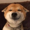 从未止步