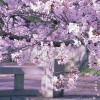 一种信仰